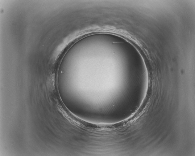 X0000060741503200511171044