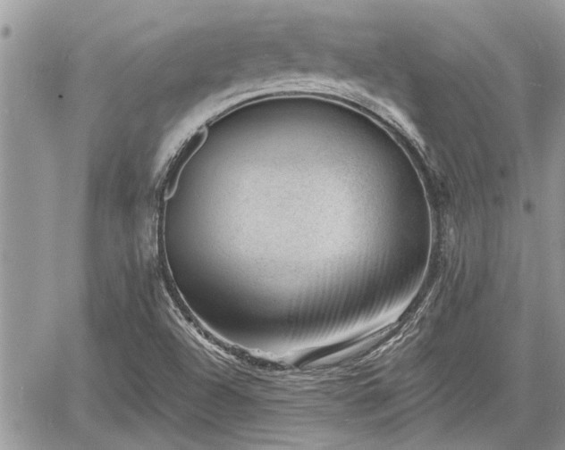 X0000060741504200511171044