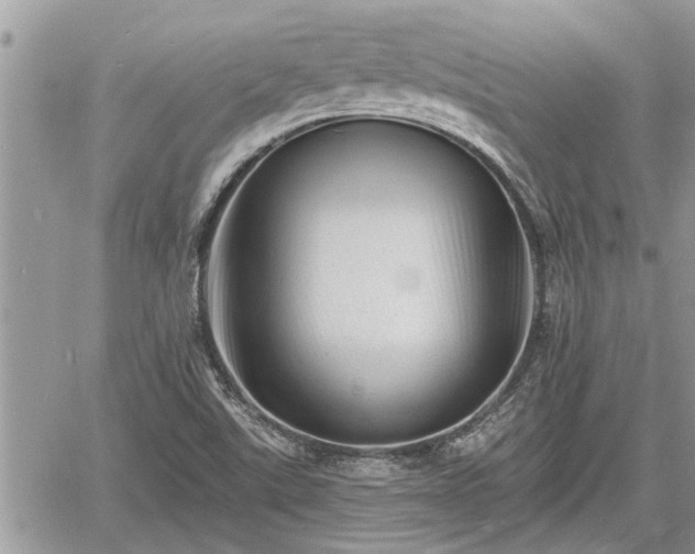 X0000060741507200511171044