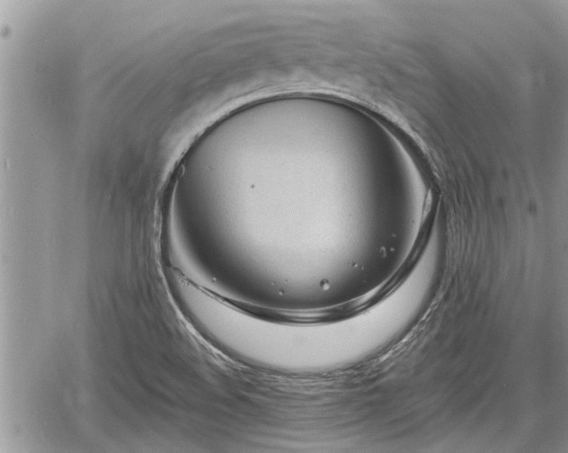 X0000060741508200511171044