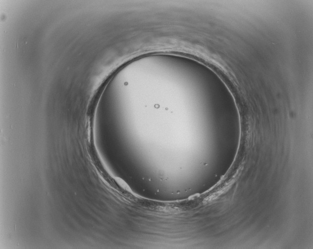 X0000060741509200511171044