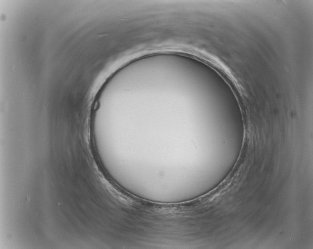 X0000060741512200511171044