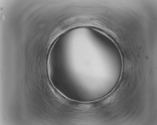 X0000060741513200511171044