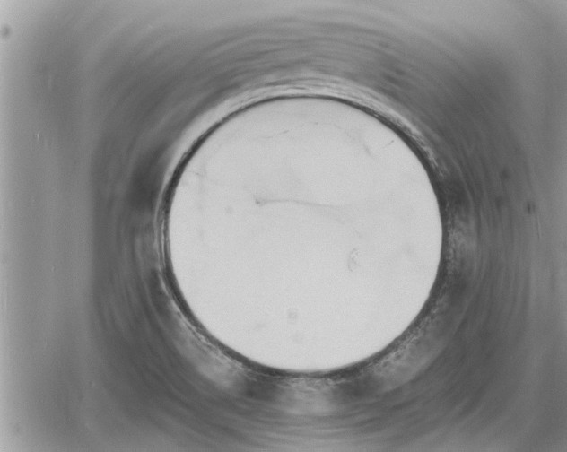 X0000060741514200511171044