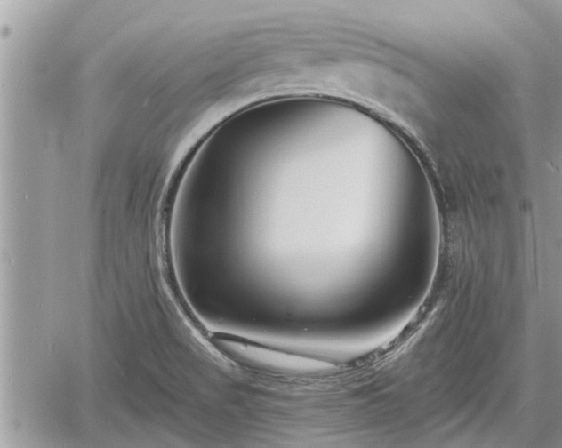 X0000060741517200511171044