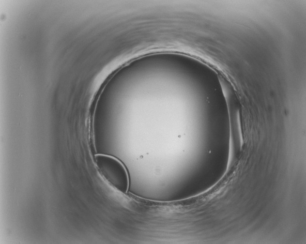 X0000060741519200511171044