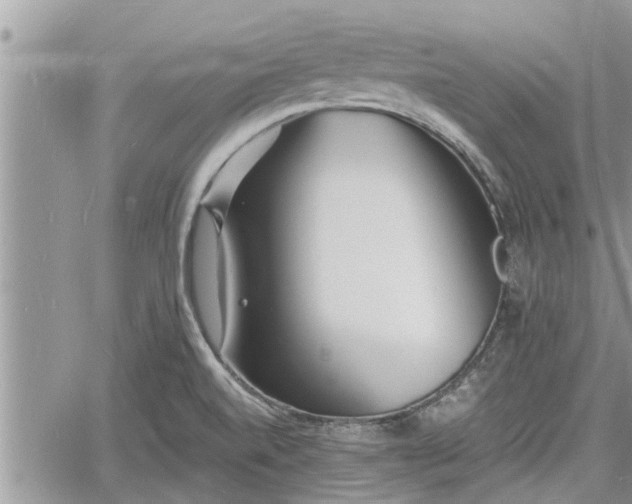 X0000060741520200511171044