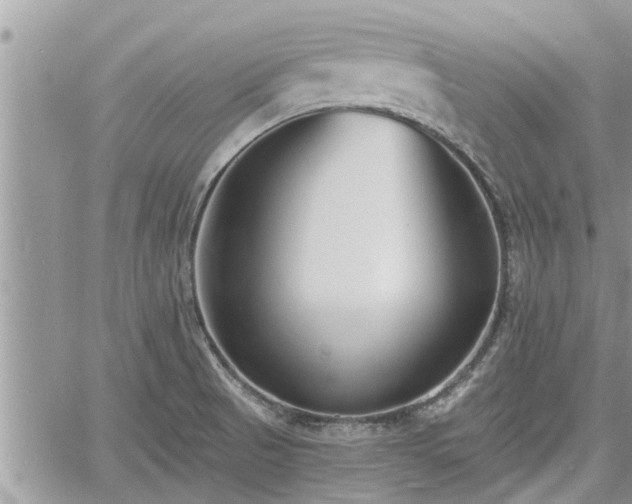 X0000060741521200511171044