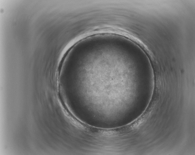 X0000060741522200511171044