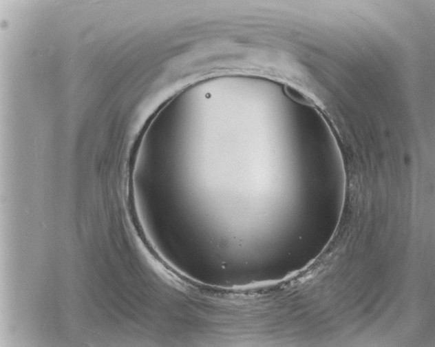 X0000060741523200511171044