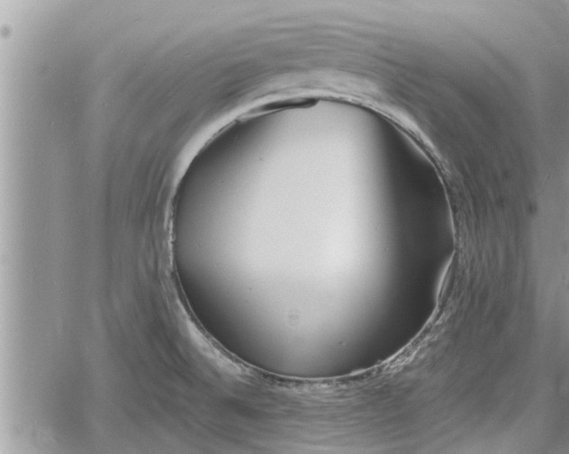 X0000060741524200511171044