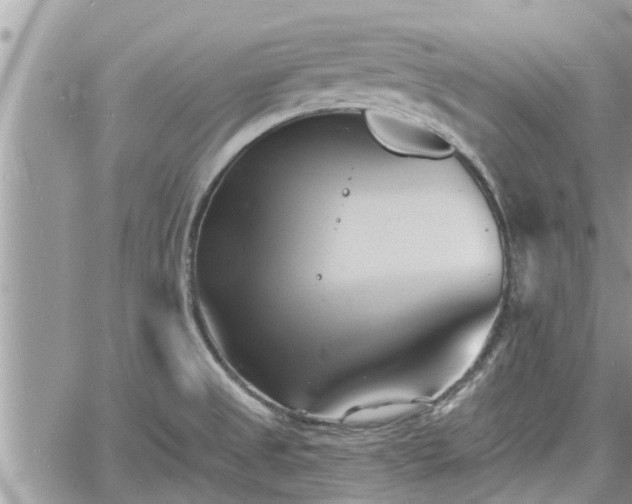 X0000060741525200511171044