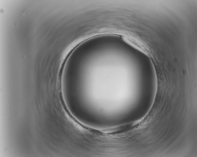 X0000060741527200511171044