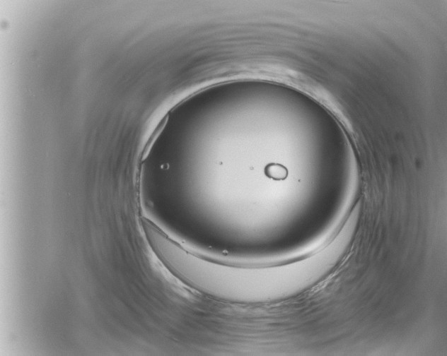 X0000060741532200511171044