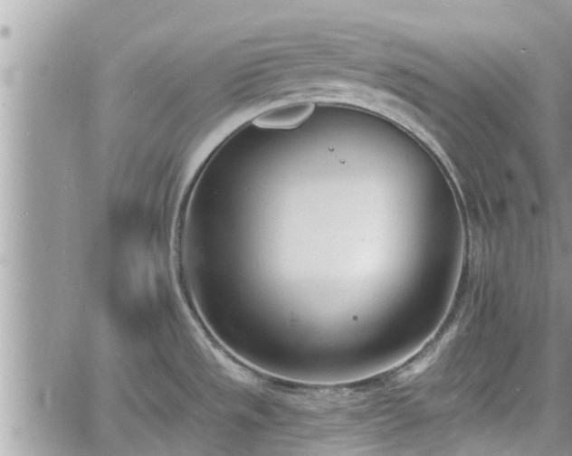 X0000060741533200511171044