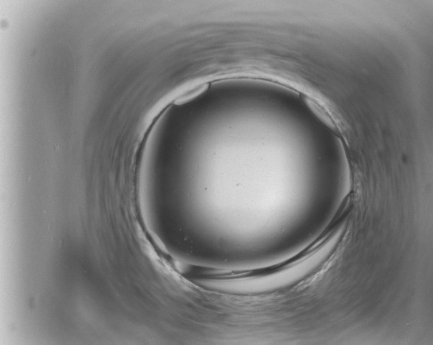 X0000060741534200511171044