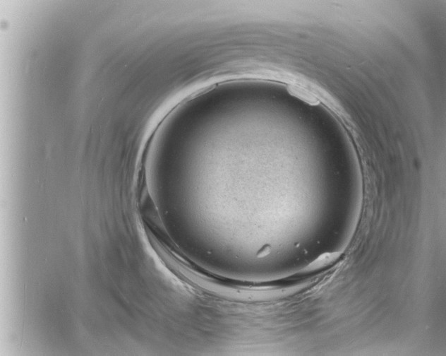 X0000060741536200511171044