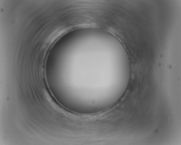 X0000060740002200511241650