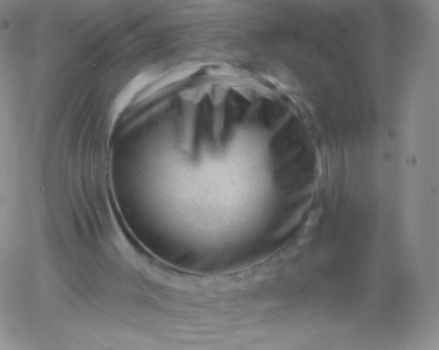 X0000060740003200511241650