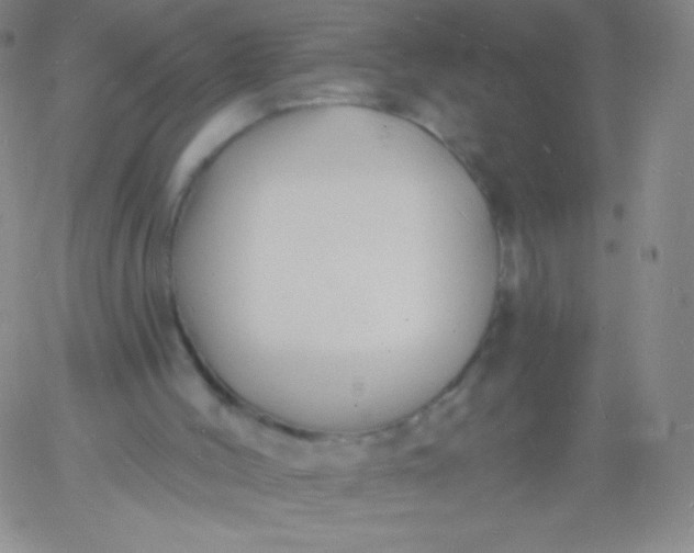 X0000060740004200511241650