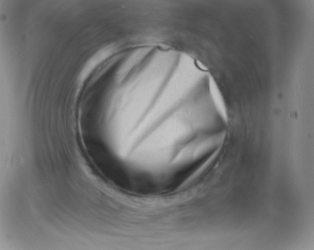 X0000060740006200511241650