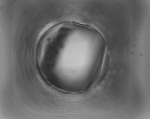 X0000060740008200511241650