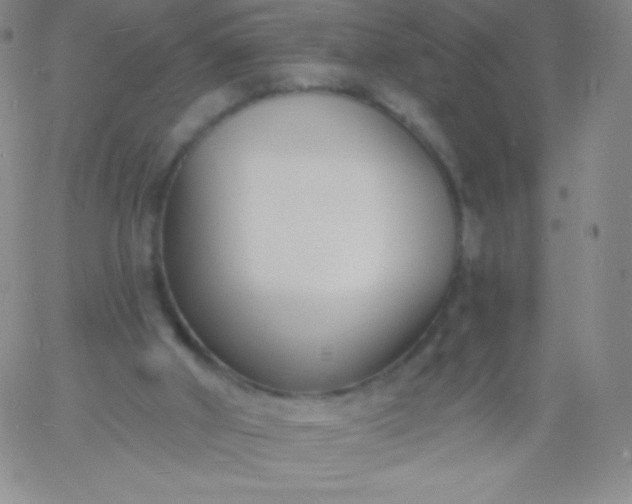 X0000060740010200511241649