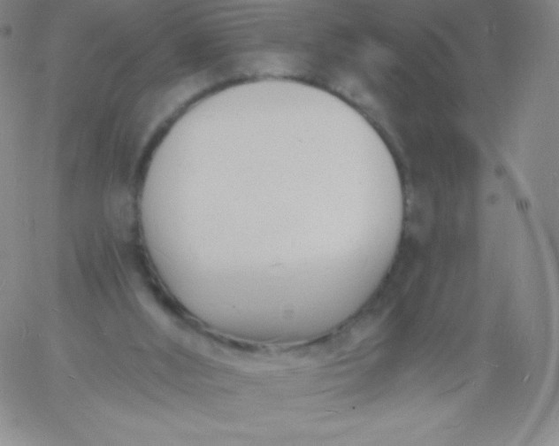 X0000060740012200511241649