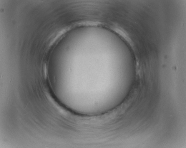 X0000060740013200511241649