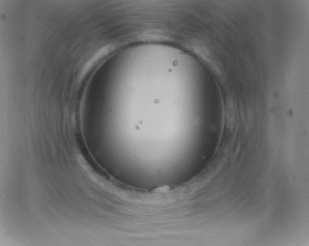 X0000060740015200511241649