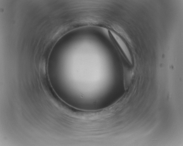 X0000060740021200511241649