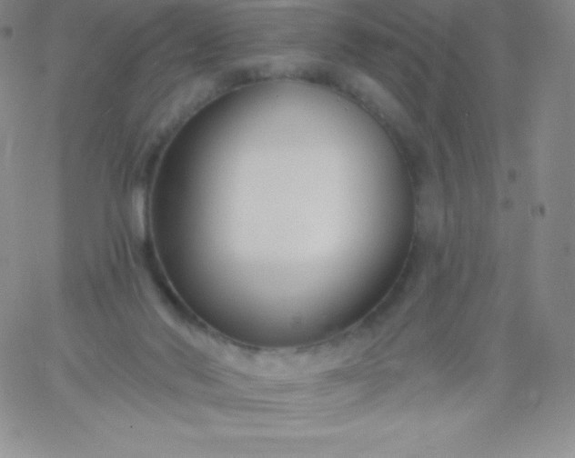 X0000060740022200511241649