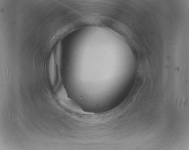 X0000060740023200511241649