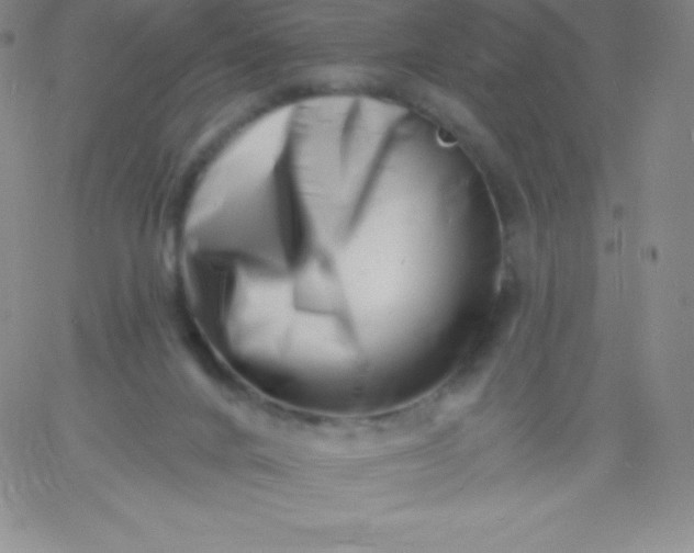 X0000060740024200511241649