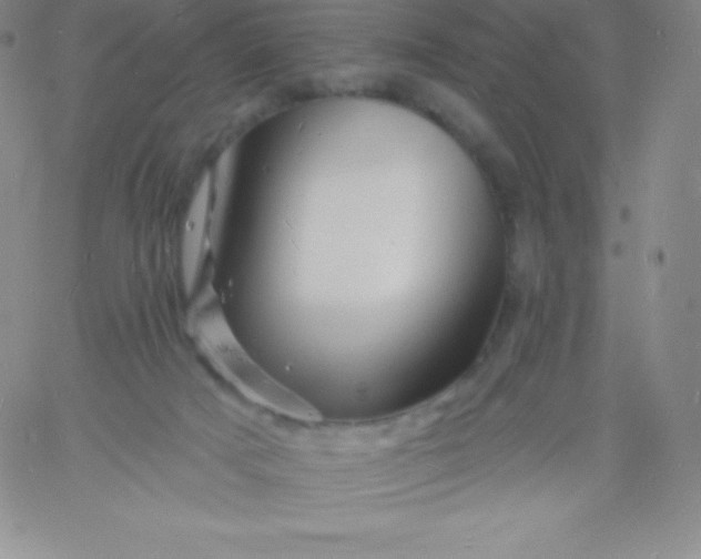 X0000060740025200511241649