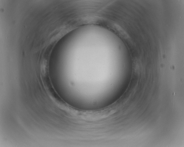 X0000060740026200511241649