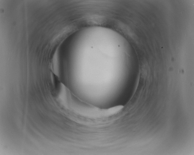 X0000060740027200511241649