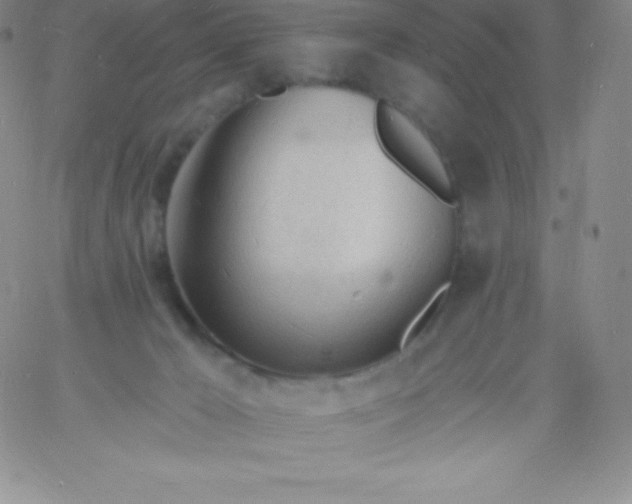 X0000060740029200511241649