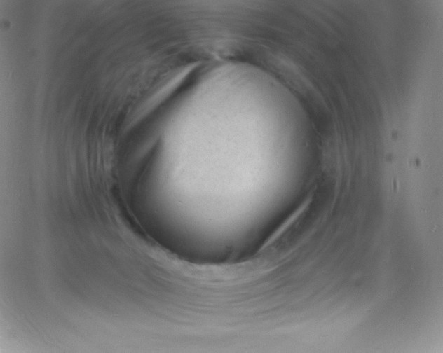 X0000060740030200511241649