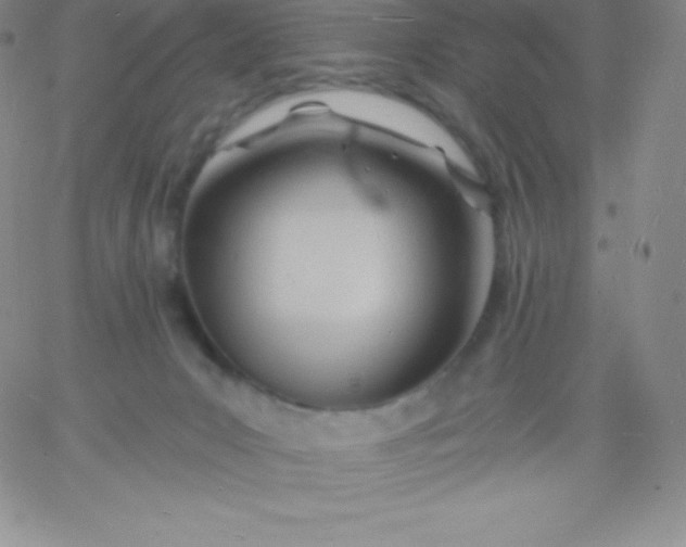 X0000060740031200511241649