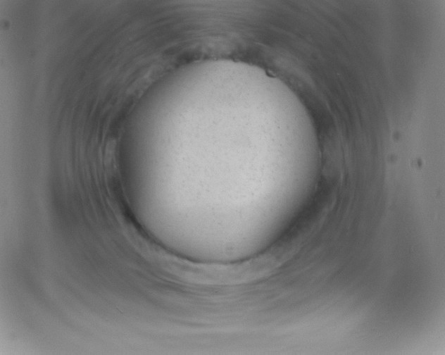 X0000060740034200511241649