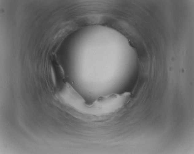 X0000060740035200511241649