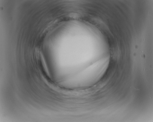 X0000060740036200511241649