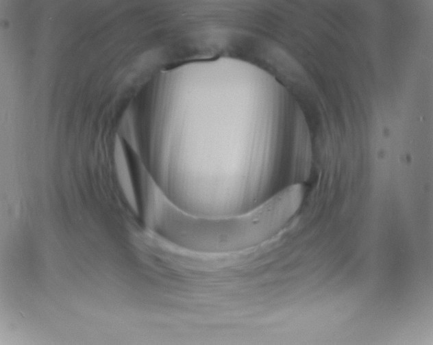 X0000060740037200511241649