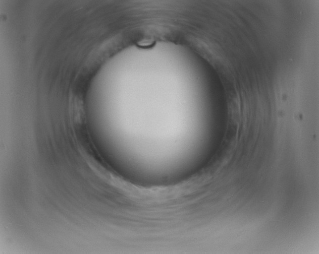 X0000060740038200511241649