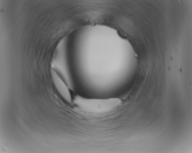 X0000060740039200511241649