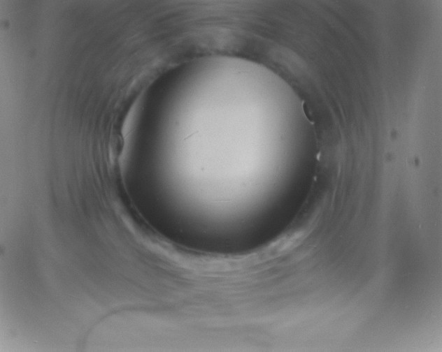 X0000060740040200511241649