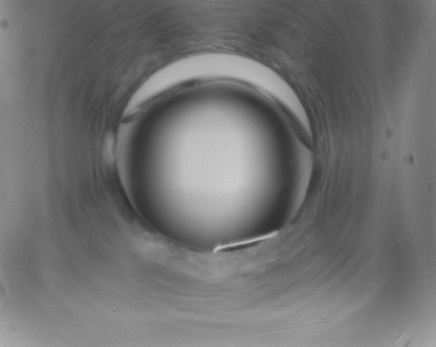 X0000060740041200511241649