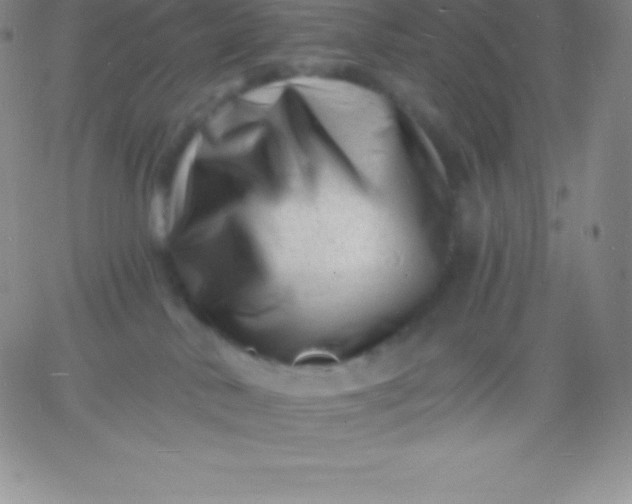 X0000060740042200511241649