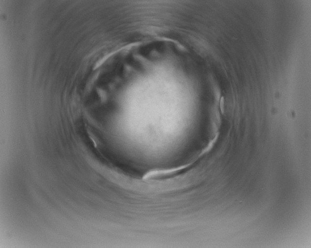 X0000060740043200511241649